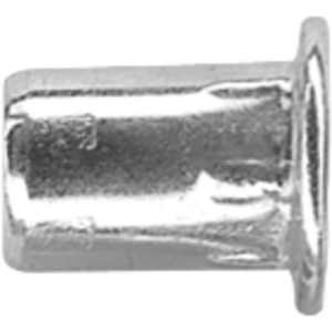 Rivets filetée Acier 6 pans  M8x10,9x15,5